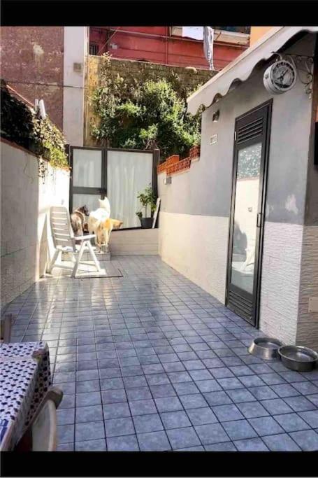 Napoli Centro Casa Con Due Camere E Cucina מראה חיצוני תמונה